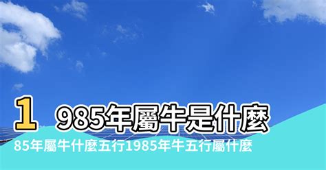 85屬什麼